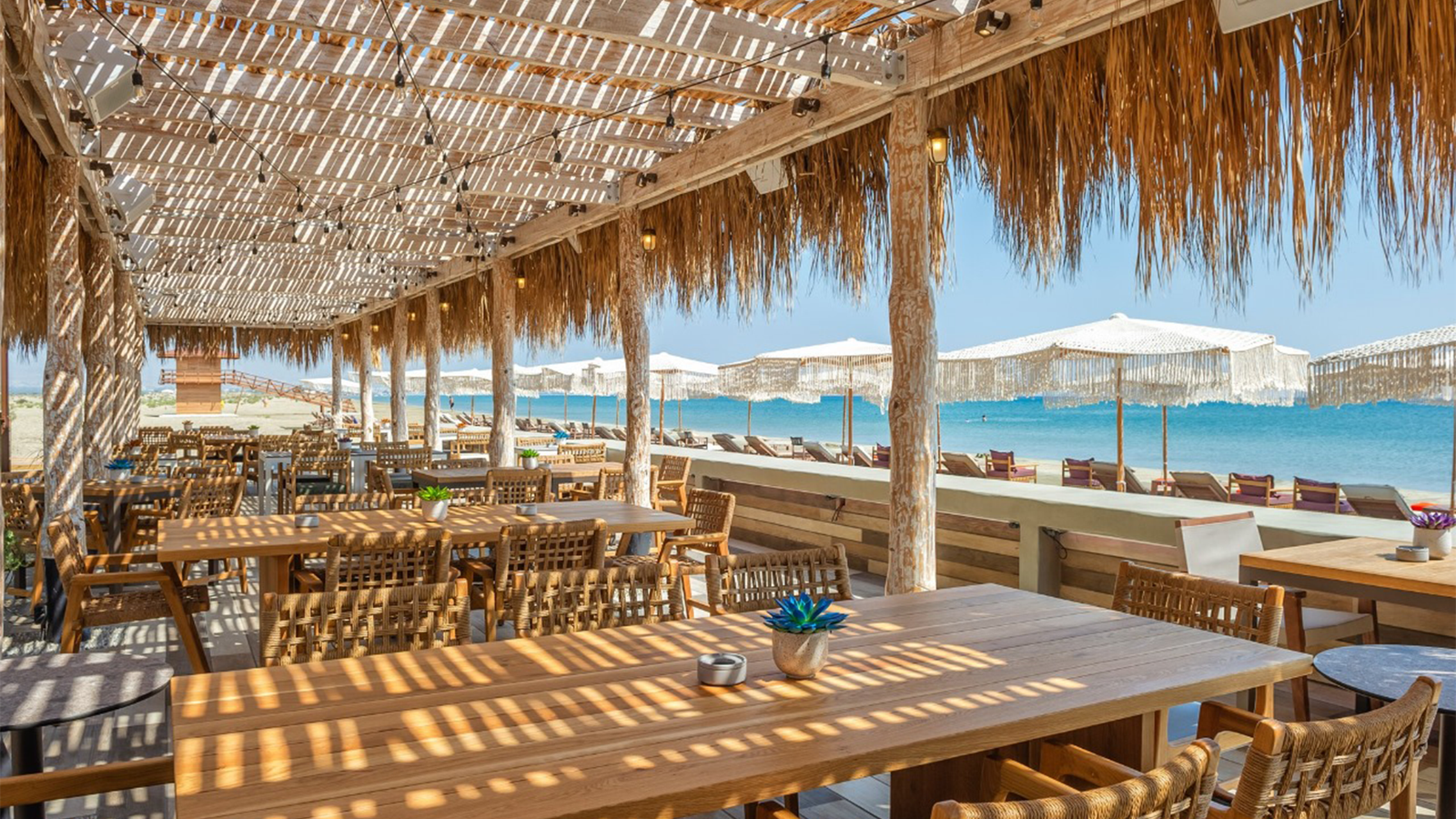 WhatsApp Image 2025-10-23 at 12.17.23