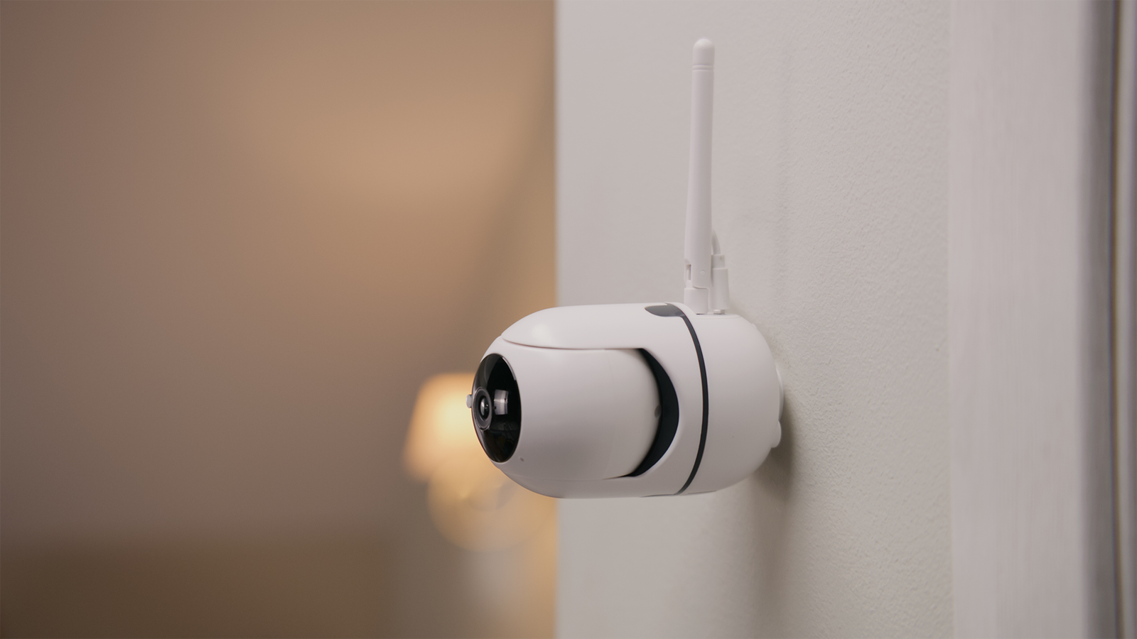 shutterstock_2266530801